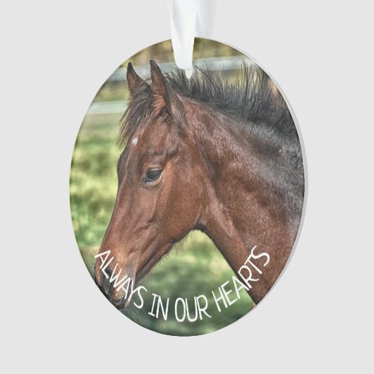Immer im Herzen, an das Pferd erinnern Ornament (Vorderseite)