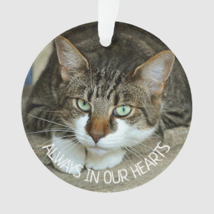 Immer im Herzen, Cat-Erinnerung Ornament
