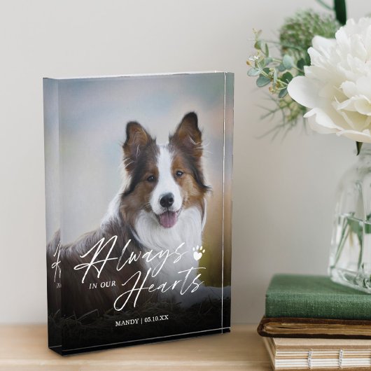 Immer in unserem Herz Foto Memorial