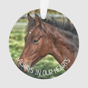 Immer in unseren Herzen, Erinnerung an Pferde Ornament