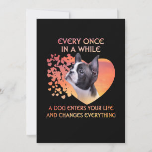 Immer mal, wenn ein Hund in Ihr Leben in Boston ei Ankündigung