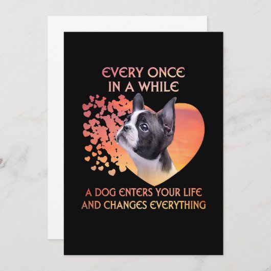 Immer mal, wenn ein Hund in Ihr Leben in Boston ei Ankündigung (Vorne/Hinten)