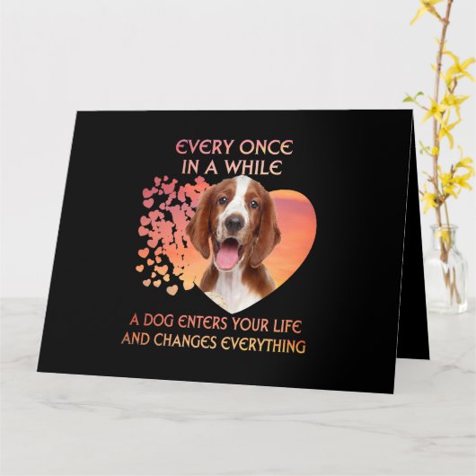 Immer mal wieder ein walisischer Springer Spanier Karte (Gelbe Blume)