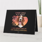 Immer mal wieder ein walisischer Springer Spanier Karte (Rückseite)