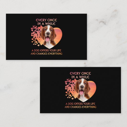 Immer mal wieder ein walisischer Springer Spanier Visitenkarte (Vorne/Hinten)