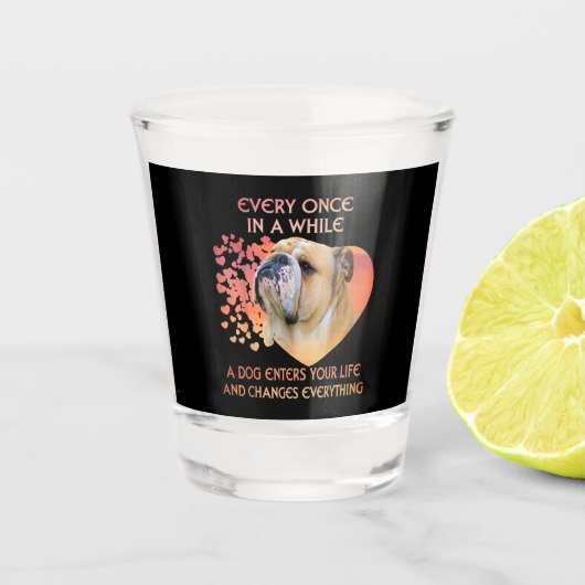 Immer mal wieder fängt ein Hund in dein Leben ein Schnapsglas (Vorderseite)