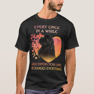 Immer mal wieder Frauen in Amerika T-Shirt