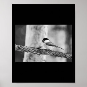 Immer noch für eine Weile. Weidenmeise Bw Aufklebe Poster