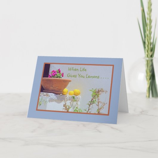 IMMER NOCH LEBEN/PETUNIAS UND LEMONS/WENN DAS LEBE KARTE (Vorderseite)