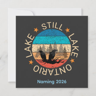 Immer noch Ontariosee Kanada 2026 vintage mix