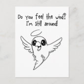 Immer noch postkarte (Vorderseite)