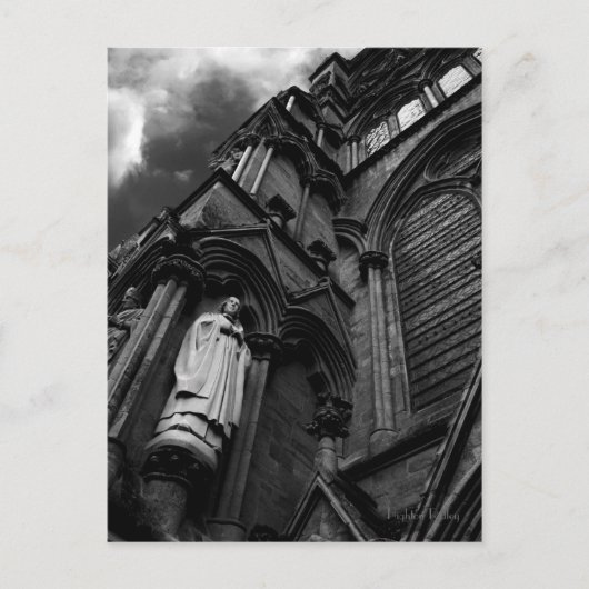 Immer Postkarte beobachten (Vorderseite)