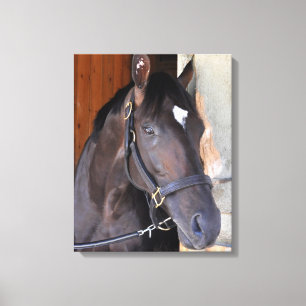 Immer träumen leinwanddruck