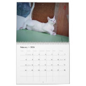 Immer und für immer kalender (Feb 2026)