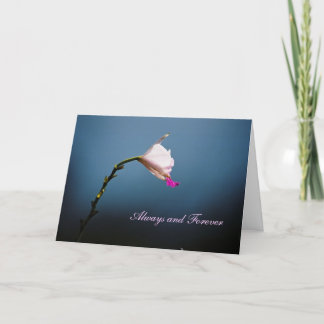 Immer und für immer karte