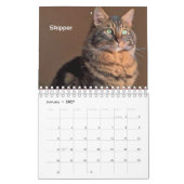 Immer und für immer sammelbarer Kalender 2019 (Jan 2027)