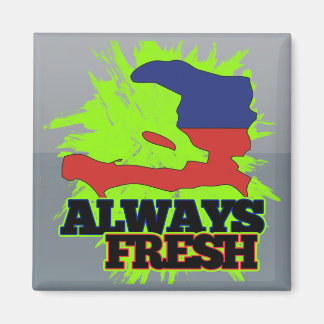 Immer wieder Haiti Magnet