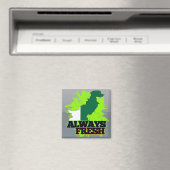 Immer wieder Pakistan Magnet (In Situ (Geschirrspüler))