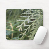 immergrün, cypress-Blätter Mousepad (Mit Mouse)