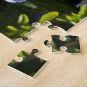Immergrün-Kappe Plumbago, Oakland Puzzle (Seite)