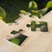 Immergrün-Kappe Plumbago, Oakland Puzzle (Seite)