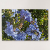 Immergrün-Kappe Plumbago, Oakland Puzzle (Horizontal)