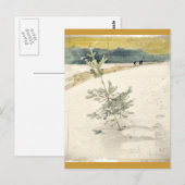 Immergrün Postkarte (Vorne/Hinten)