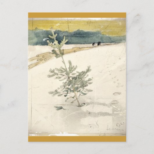 Immergrün Postkarte (Vorderseite)
