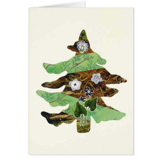 Immergrün u. Blumen (Vorne)