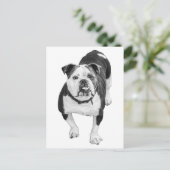 Immergrüne Ansicht, Bulldogge Post Postkarte (Stehend Vorderseite)