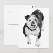 Immergrüne Ansicht, Bulldogge Post Postkarte (Vorne/Hinten)
