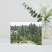 immergrüne Bäume in den Colorado-Bergen Postkarte (Stehend Vorderseite)