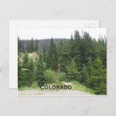 immergrüne Bäume in den Colorado-Bergen Postkarte (Vorne/Hinten)