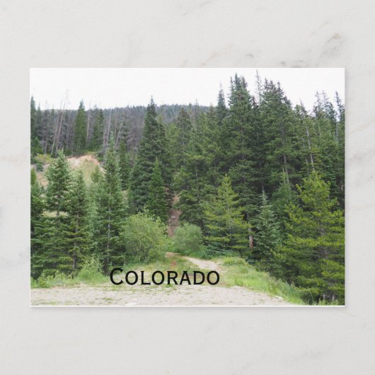 immergrüne Bäume in den Colorado-Bergen Postkarte (Vorderseite)