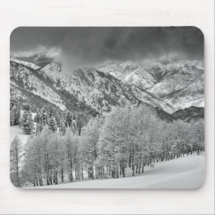 Immergrüne und Espenbäume in einem Schneesturm Mousepad