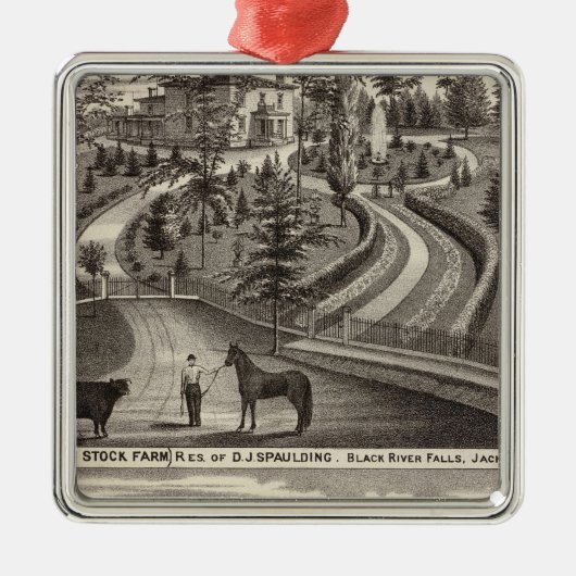 Immergrüner Bauernhof auf lager, Res Silbernes Ornament (Vorne)