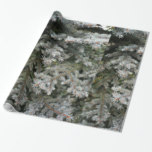 Immergrüner Baum Geschenkpapier