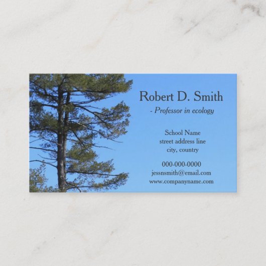immergrüner Baum in blauen Himmelswissenschaften - Visitenkarte (Vorderseite)