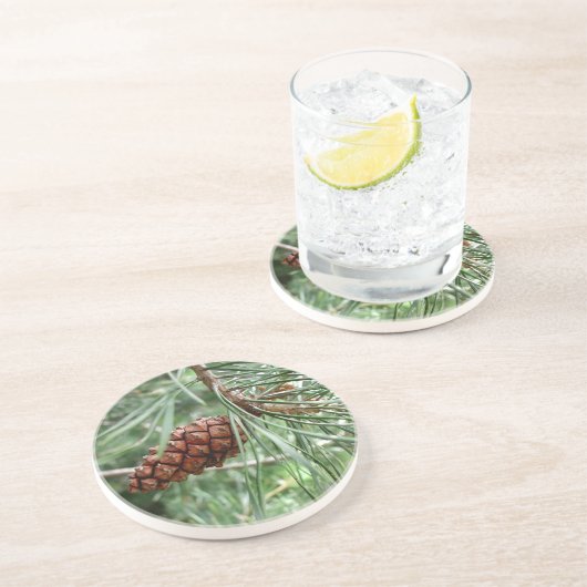 Immergrüner Kiefern-Kegel-durstiger Sandstein Untersetzer (Seite)