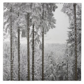 Immergrüner Wald im Winter Fliese (Vorderseite)