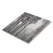 Immergrüner Wald im Winter Fliese (Seite)