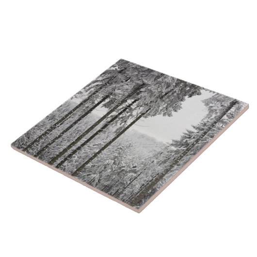 Immergrüner Wald im Winter Fliese (Seite)