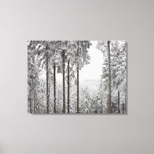 Immergrüner Wald im Winter Leinwanddruck