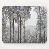 Immergrüner Wald im Winter Mousepad (Vorne)