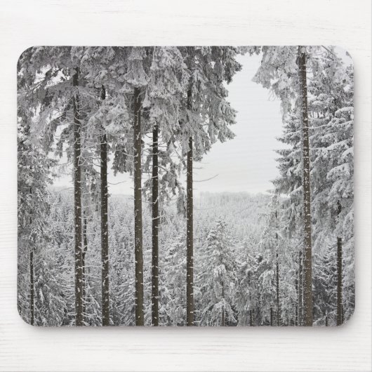 Immergrüner Wald im Winter Mousepad (Vorne)