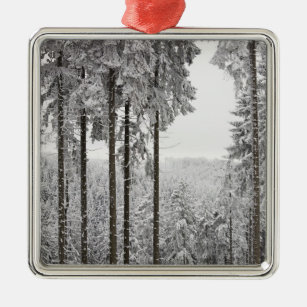 Immergrüner Wald im Winter Ornament Aus Metall