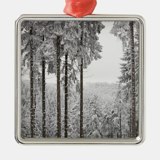 Immergrüner Wald im Winter Ornament Aus Metall (Vorne)