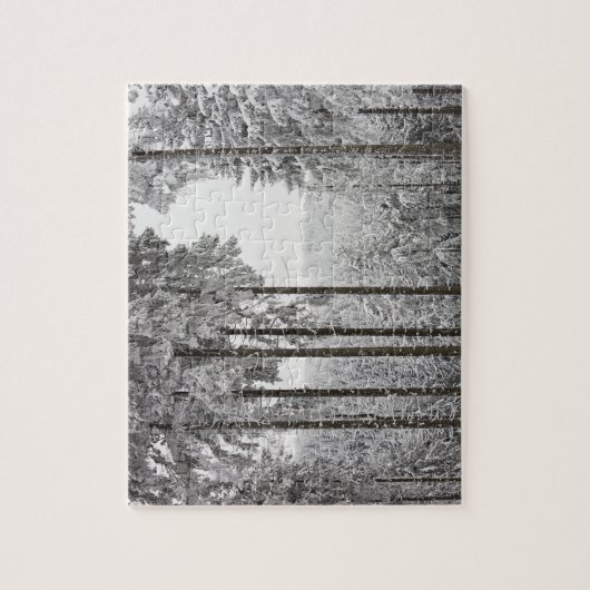 Immergrüner Wald im Winter Puzzle (Vertikal)