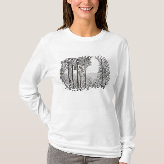 Immergrüner Wald im Winter T-Shirt (Vorderseite)