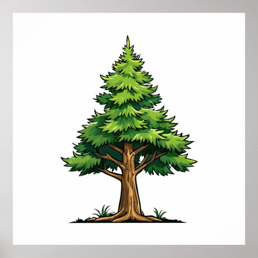 Immergrüner Wald Poster (Vorne)